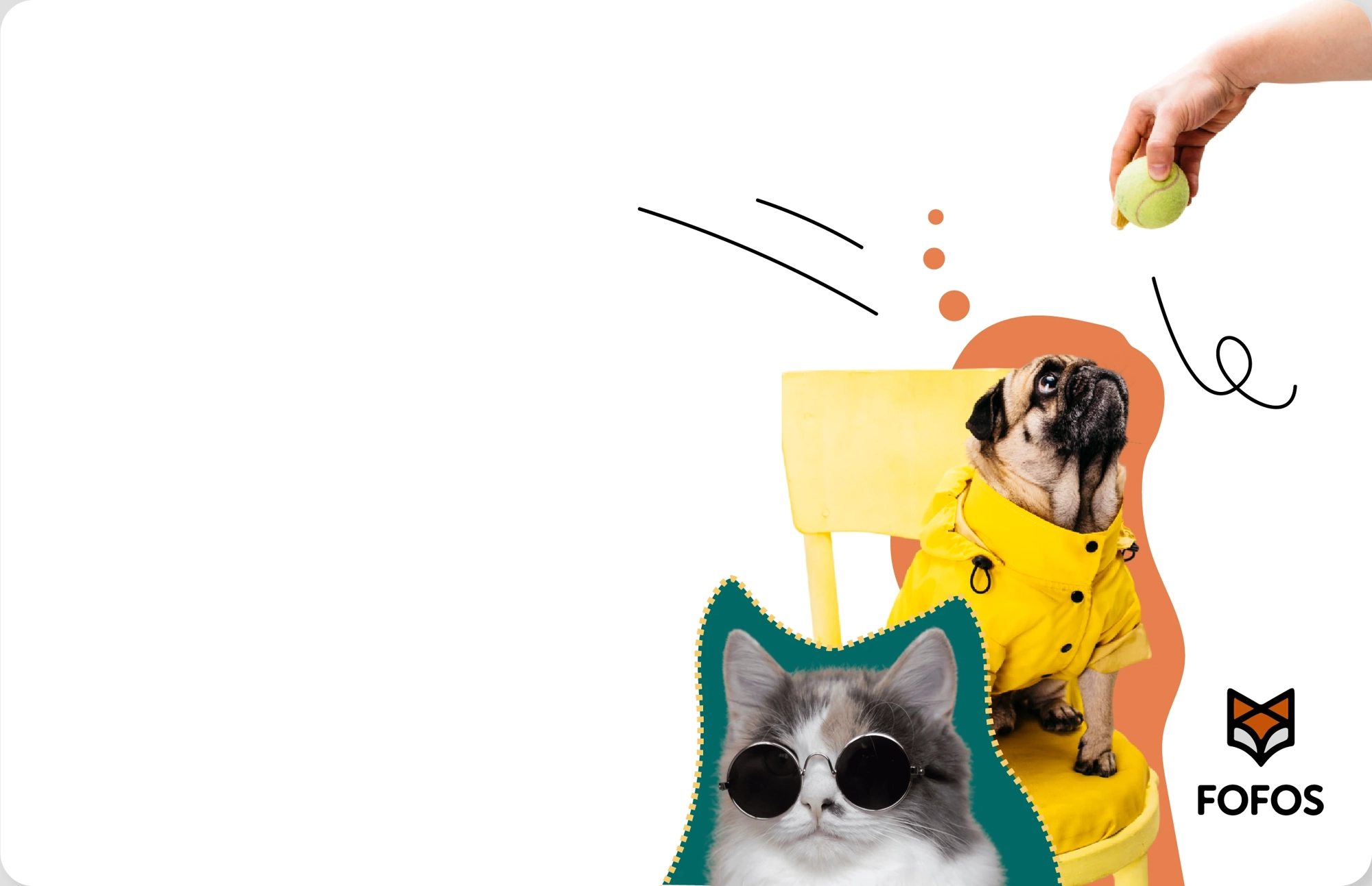 Mais Carinho.Mais Conforto.Mais Fofos.