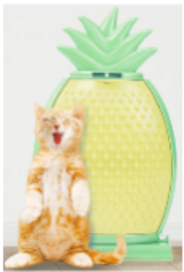 Arranhador para Gato em Forma de Ananás com Escova Integrada