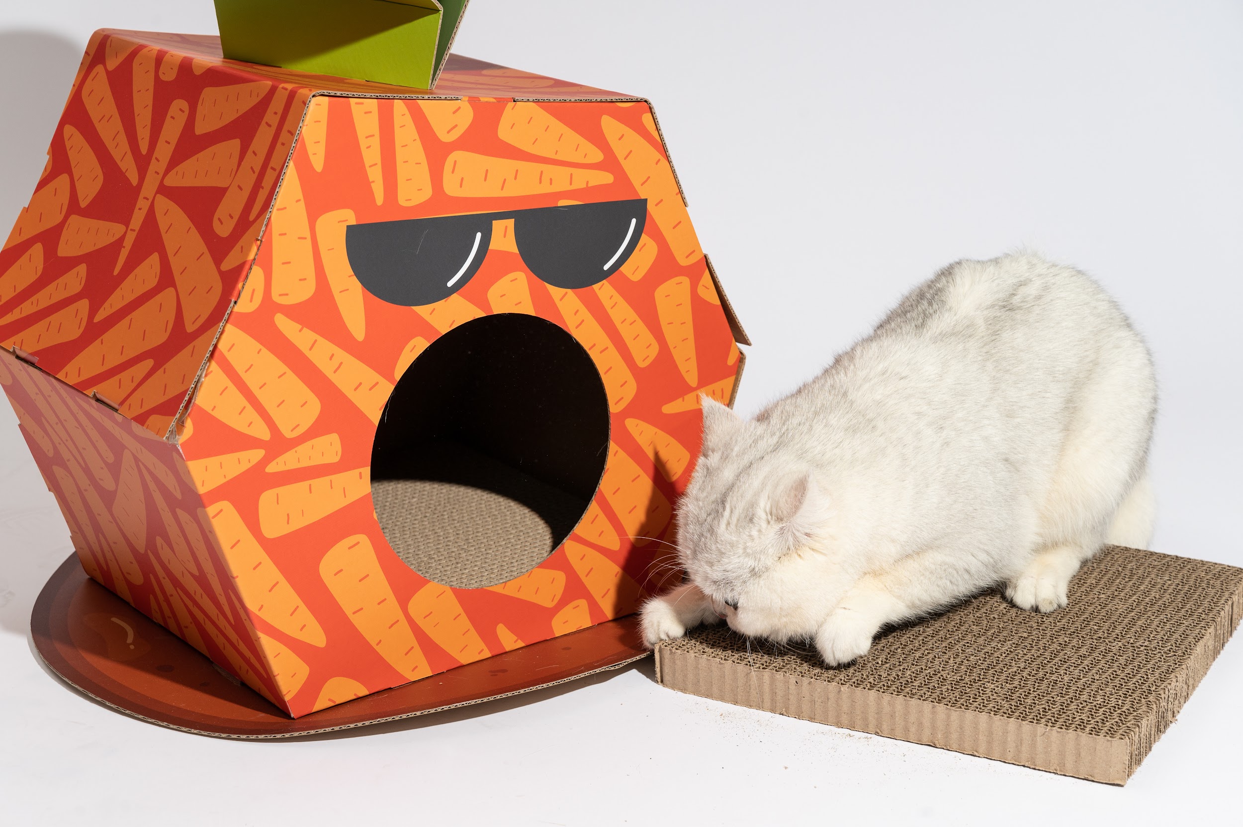 Caja de cartón Zanahoria para gatos con panel rascador FOFOS